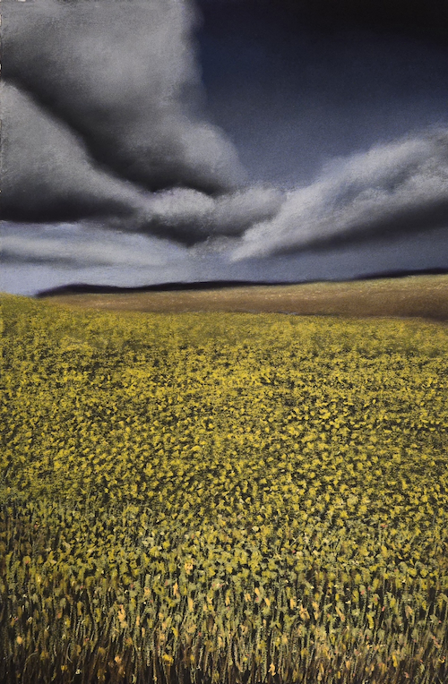 Yellow Flowers Everywhere 15x22.25 $2300 at Hunter Wolff Gallery